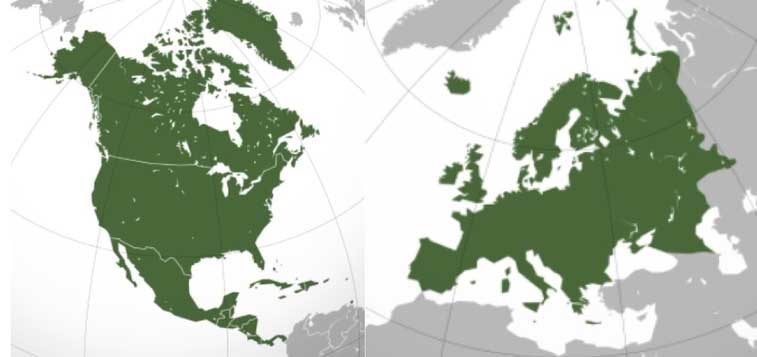 Norteamérica es una isla de tranquilidad y oportunidad…